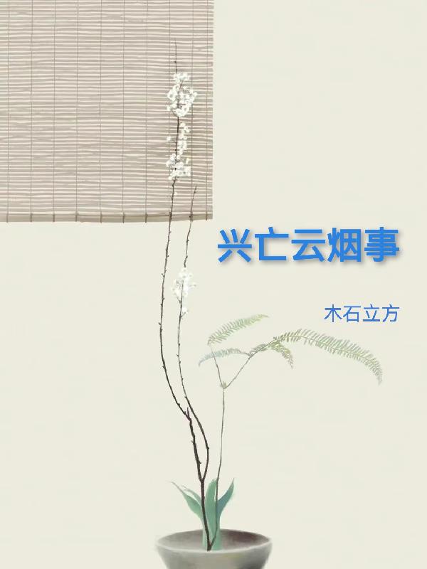 兴亡多少事悠悠